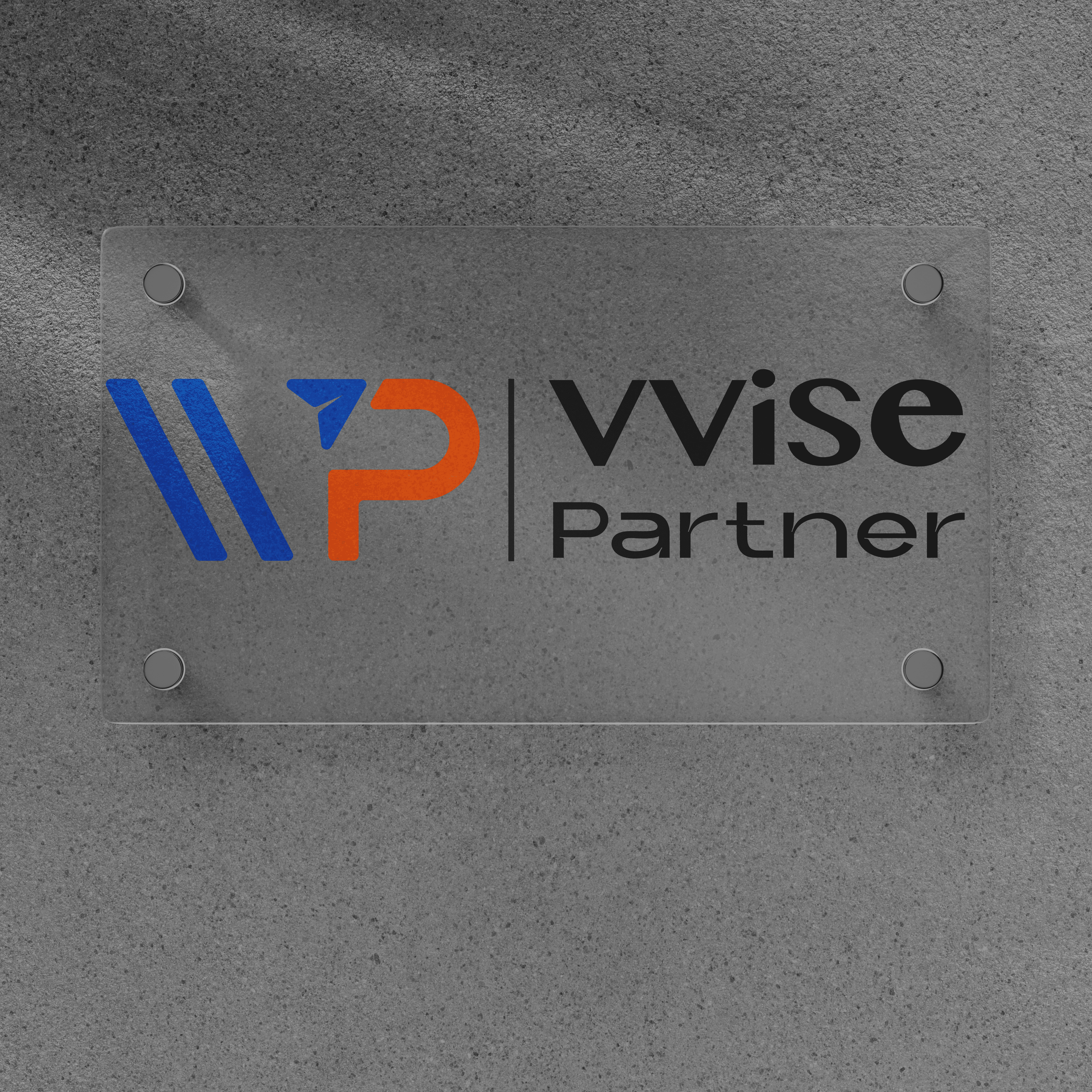 VVise Partner